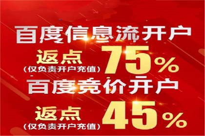深度解析：百度竞价代理的优化策略与成功案例